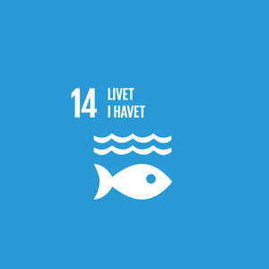 Tavoitteet_square_dansk_14